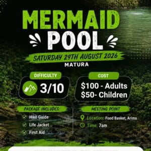Wearfit - Mermaid Pool